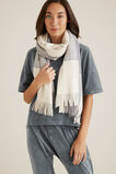 Minimal Check Scarf    hi-res