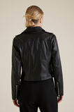Leather Jacket    hi-res