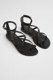 Jasmine Flat Sandal  Black  hi-res