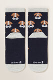 Dog Print Socks  Navy  hi-res