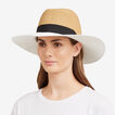 Two Tone Panama Hat    hi-res
