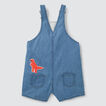 Dino Patches Overall    hi-res