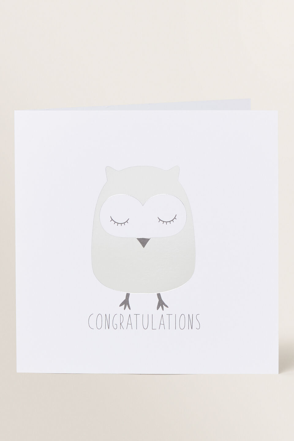 Large Owl Card  