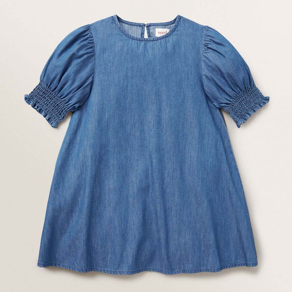 Shirred Chambray Dress  