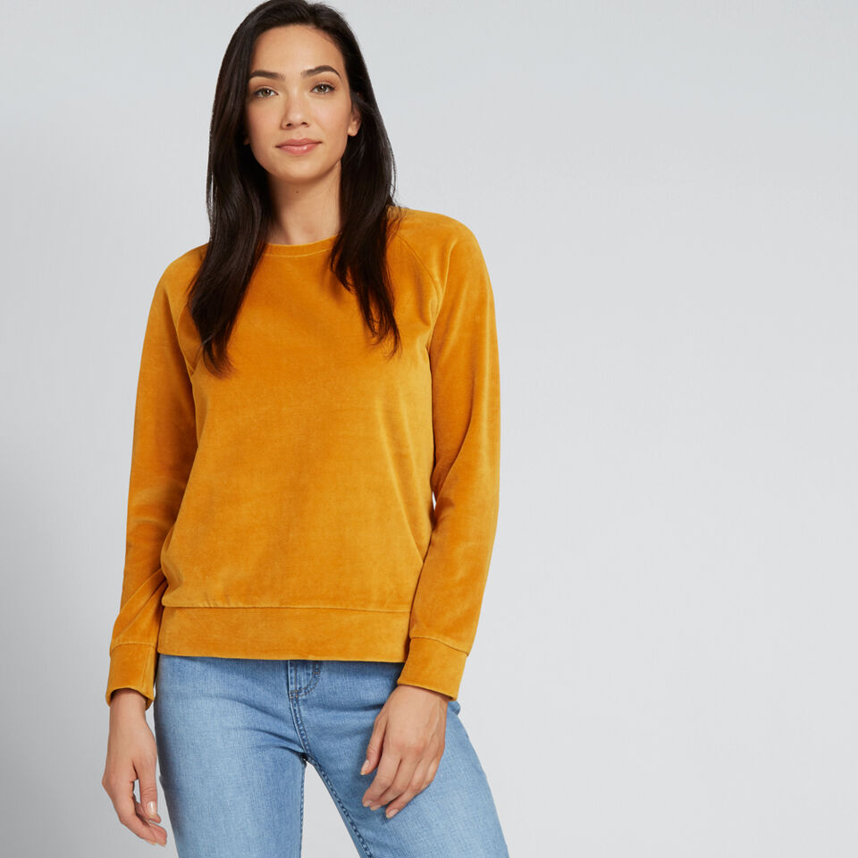 Velour Raglan Sweater  