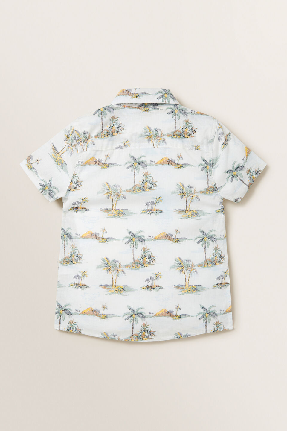 Hawaii Shirt  