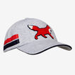 Fox Cap    hi-res