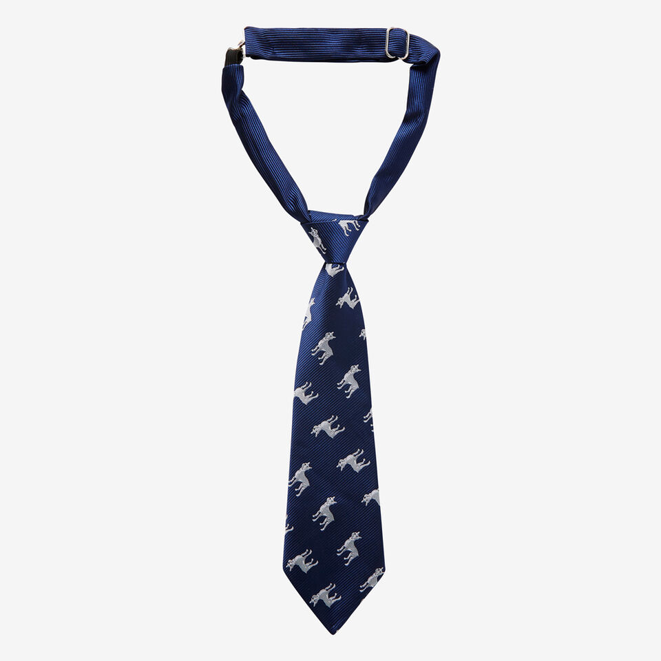 Dog Neck Tie  