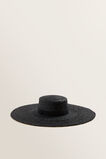 Wide Brim Boater    hi-res