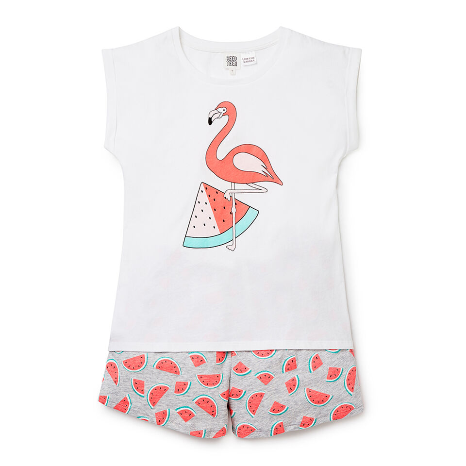 Flamingo Watermelon SS PJs  