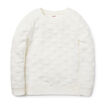 Quilted Spot WIndcheater    hi-res
