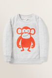 Monkey Chenille Windcheater  Cloudy Marle  hi-res