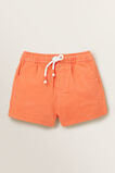 Classic Shorts  Papaya  hi-res