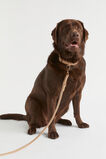 Pet Lead  Light Chestnut  hi-res