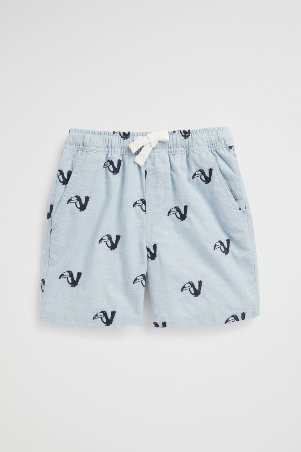 Embroidered Short  Pale Blue