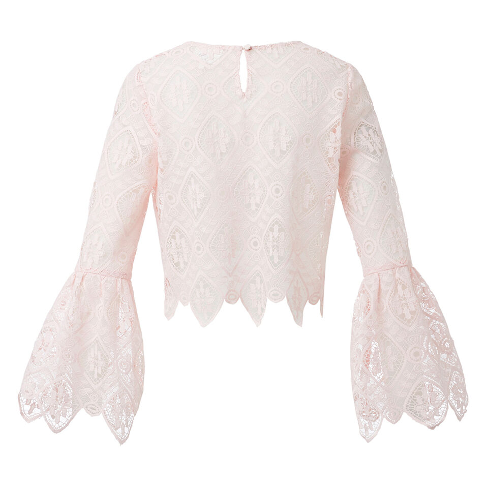 Lace Crop Bell Sleeve Top  