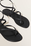 Lana Flat Sandal  Black  hi-res