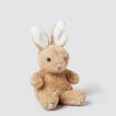 Bunny Poppet    hi-res