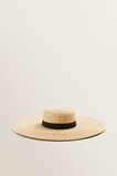 Wide Brim Boater    hi-res