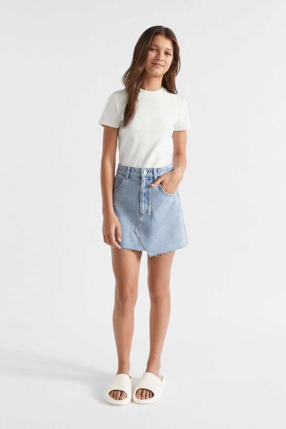 A Line Denim Skirt  Vintage Wash  hi-res