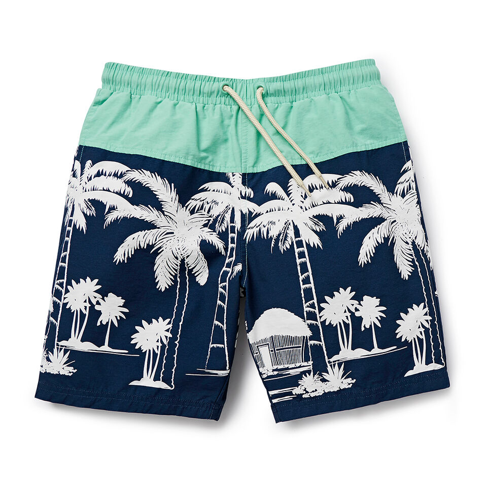 Plam Tree Boardies  