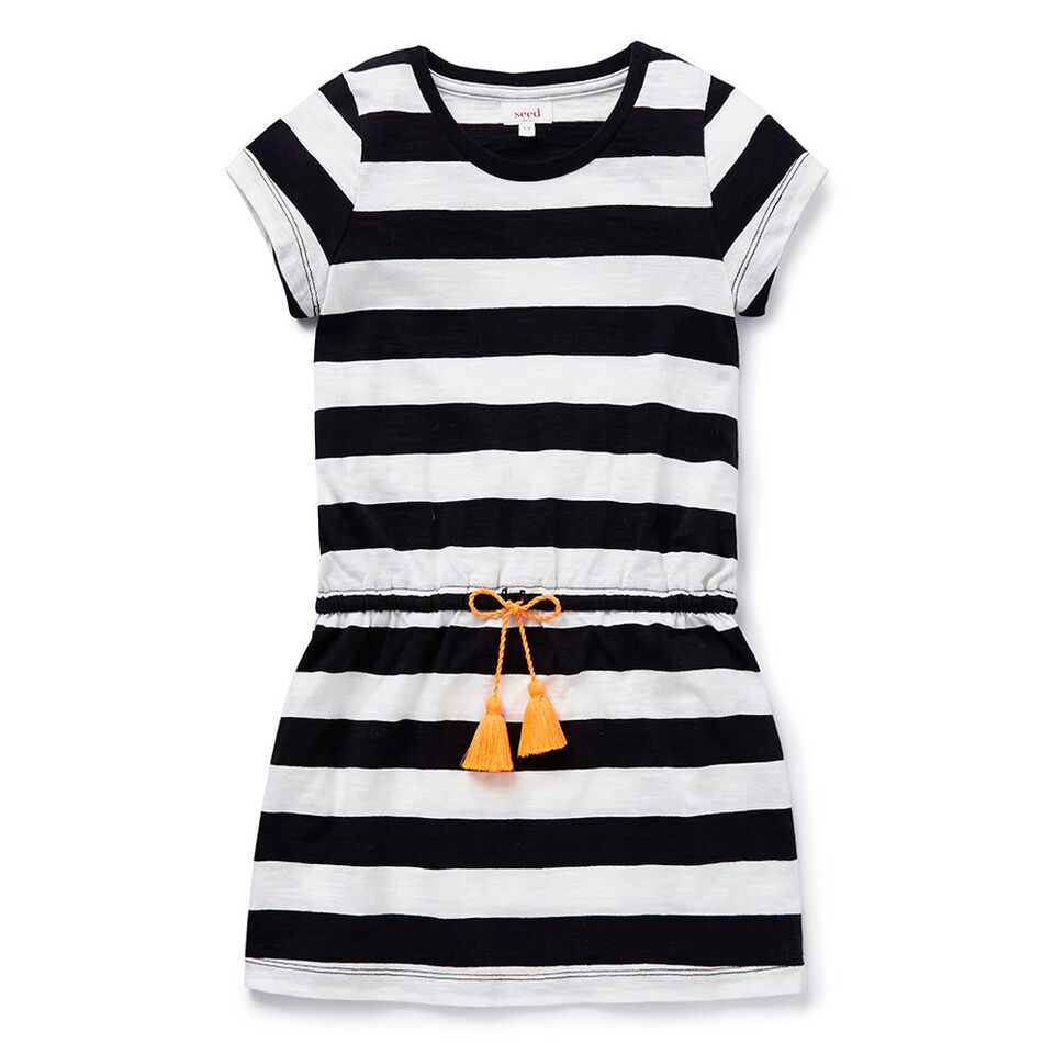 Block Stripe Dress  