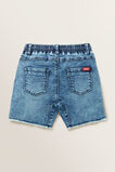 Denim Terry Short  New Blue Wash  hi-res