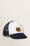 Bee Cap    hi-res