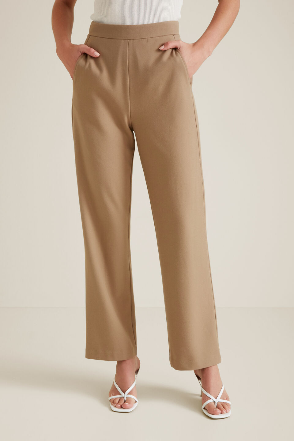 Flat Front Trouser  