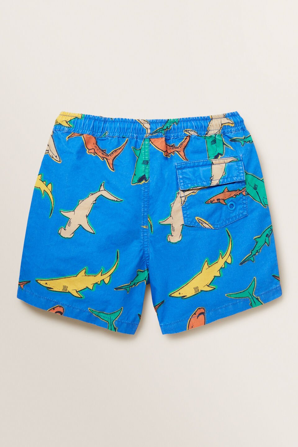 Shark Boardshort  Blue Crush