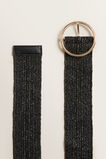 Wide Weave Waist Belt    hi-res