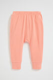 Core Logo Pocket Legging  Coral  hi-res