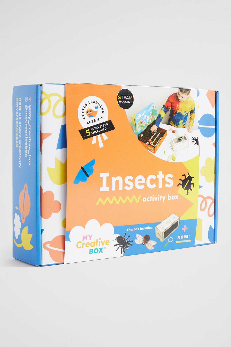 Insects Creative Box  Multi
