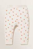 Spotty Brushed Terry Trackpant  Oat Marle  hi-res