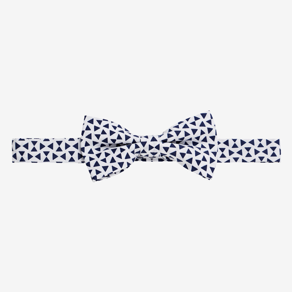 Triangle Bow Tie  