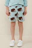 Woolly Mammoth Shorts  Sea Foam  hi-res
