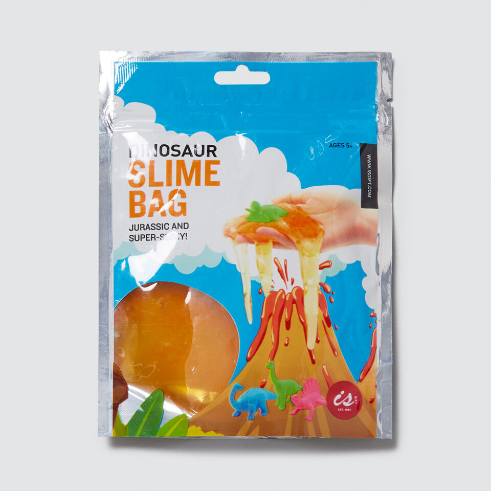 Slime In Bag Boy  