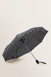 Compact Umbrella    hi-res