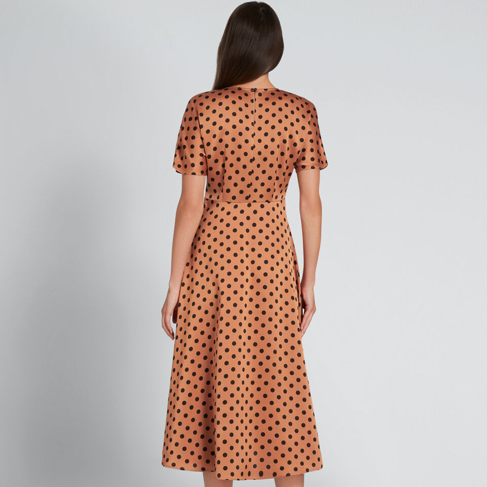 Flowing Spot Dress  