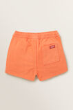 Classic Shorts  Papaya  hi-res