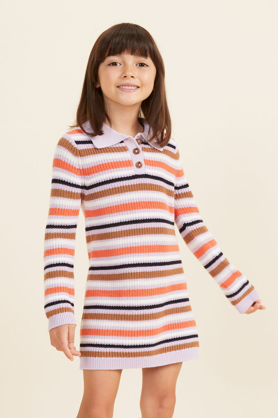 Stripe Knit Dress  Multi