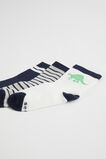 Dino Sock 3 Pack  Multi  hi-res