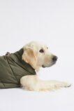 Pet Puffer Vest  Dark Fern  hi-res