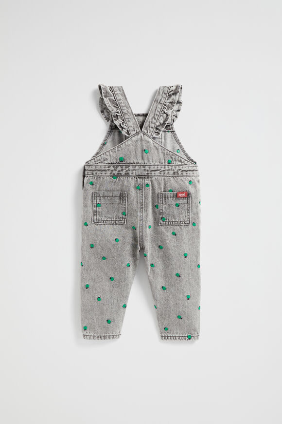 Apple Embroidered Overall  Slate Wash  hi-res