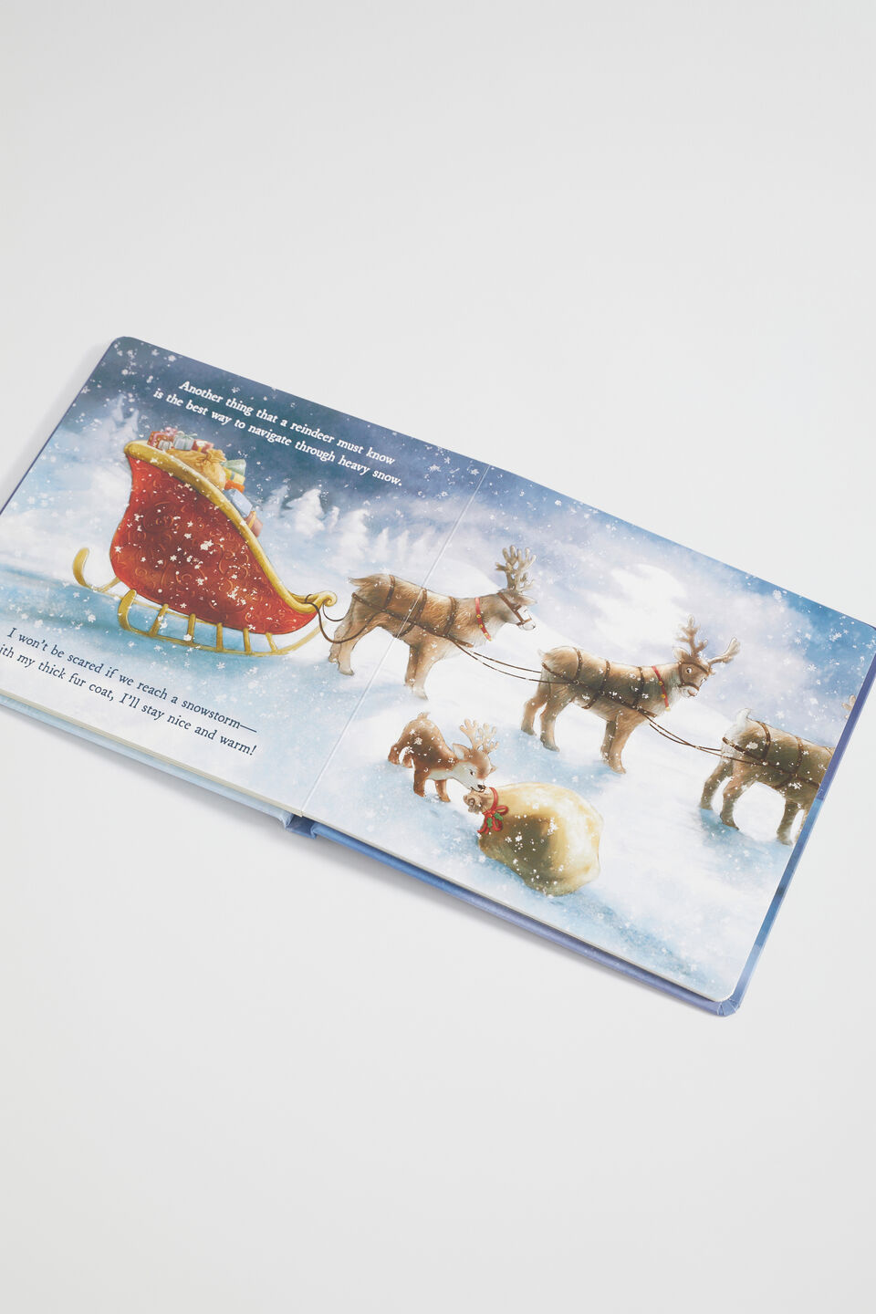 A Reindeer's Dream Book  Multi