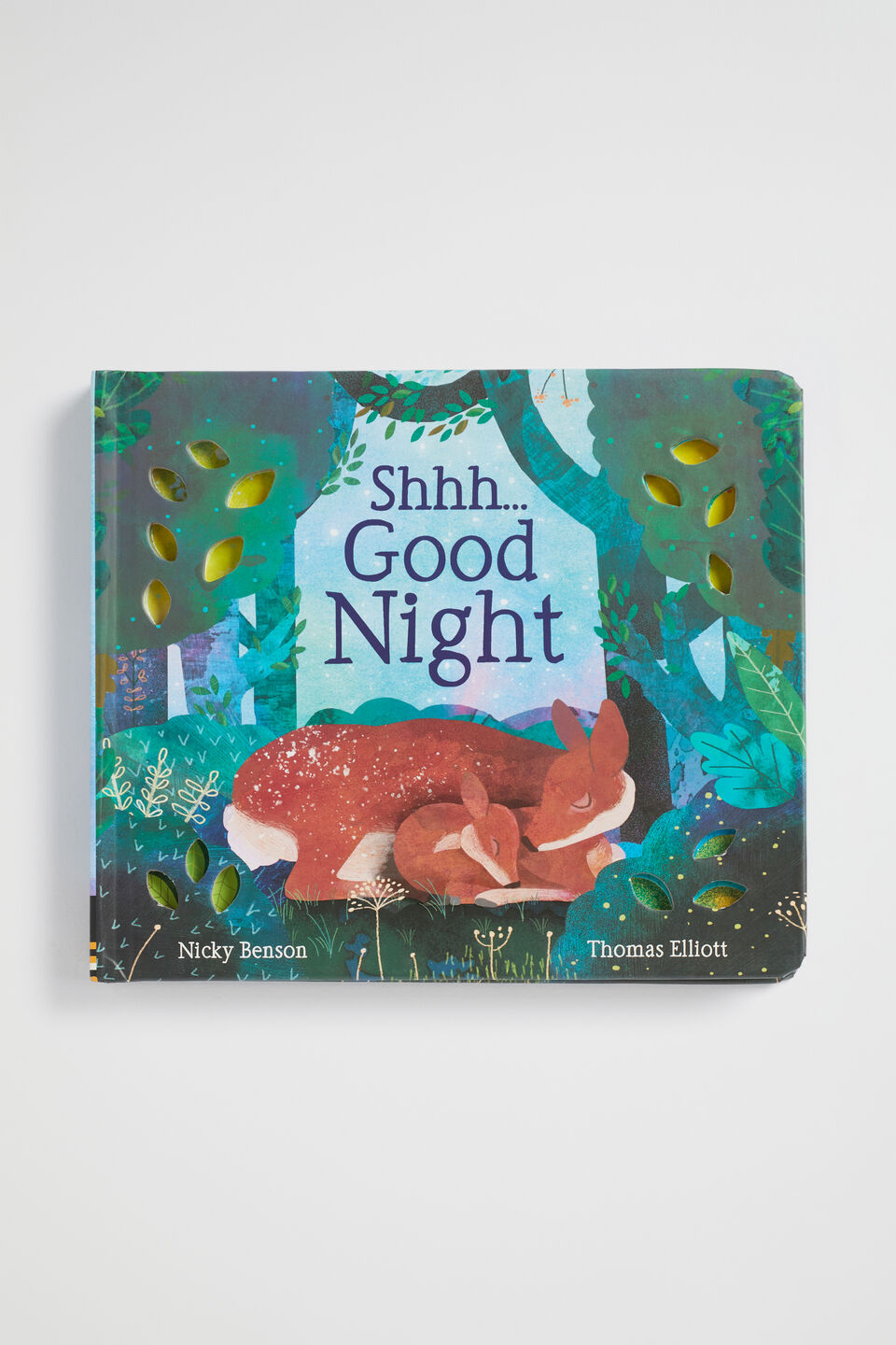 Shhh Good Night Book  Multi