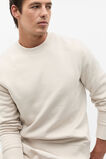 Crew Sweatshirt  Pebble  hi-res