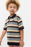 Stripe Knit Polo  Storm Marle  hi-res