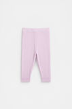 Rib Knit Legging  Soft Lilac  hi-res
