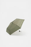 Small Umbrella  Rainforest  hi-res